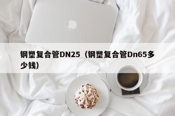 鋼塑復(fù)合管DN25（鋼塑復(fù)合管Dn65多少錢）