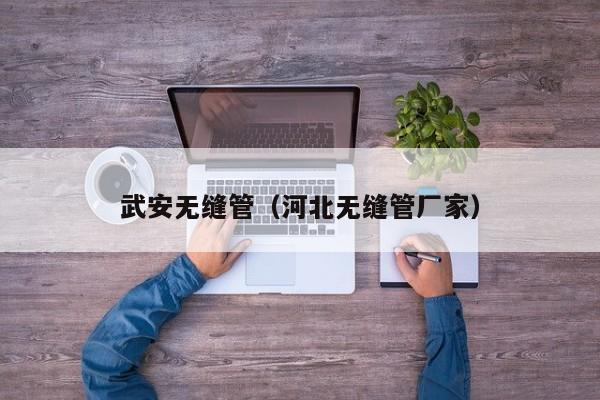 武安無縫管（河北無縫管廠家）