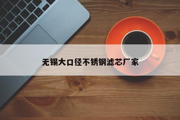 無錫大口徑不銹鋼濾芯廠家
