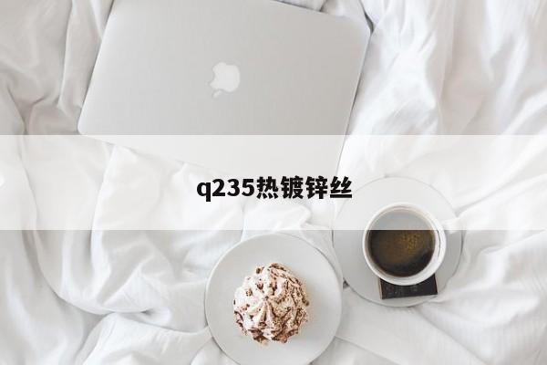 q235熱鍍鋅絲